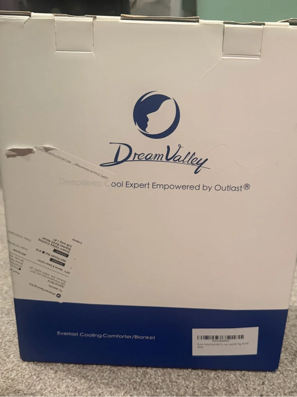 Dream Valley new original
